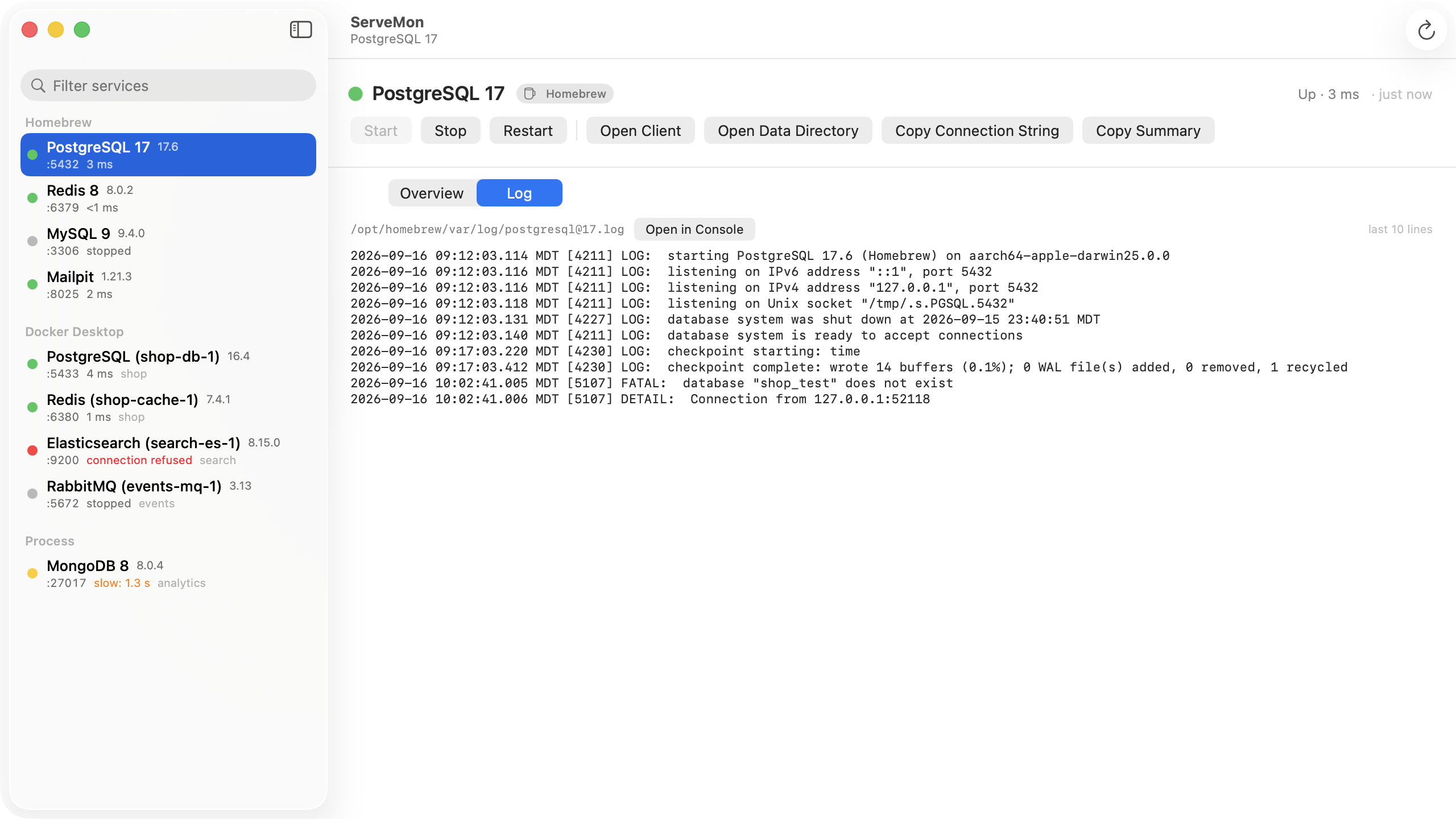 The Log tab for a Homebrew PostgreSQL 17 service: the last lines of /opt/homebrew/var/log/postgresql@17.log in a monospaced view, with the action bar (Restart, Open Client, Open Data Directory, Copy Connection String, Copy Summary) above it.